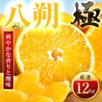 大人の柑橘 八朔 12kg