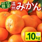 温州みかん10kg 果物 温州みかん みかん