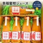 果汁飲料 みかん みかんジュース 津久見産