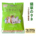 プロ仕様の無農薬 猫草のタネ 1袋