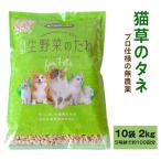 プロ仕様の無農薬 猫草のタネ 10袋