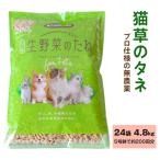 プロ仕様の無農薬 猫草のタネ 24袋