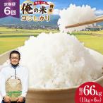 米 定期便 6回 令和8年 コシヒカリ 精米 11kg