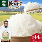 米 定期便 4回 令和8年 コシヒカリ 精米 11kg