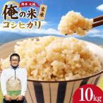 米 令和8年 コシヒカリ 玄米 10kg
