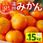 温州みかん15kg 果物 温州みかん みかん