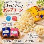 電子レンジ専用 神戸ポップコーン 2種
