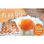 有精卵 50個入り