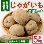 じゃがいも 男爵いも 5kg