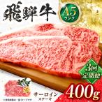 飛騨牛 A5等級 サーロインステーキ 2枚