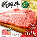 飛騨牛 A5等級 サーロインステーキ 2枚