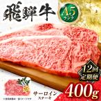飛騨牛 A5等級 サーロインステーキ 2枚