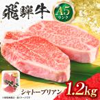 飛騨牛 A5等級 シャトーブリアンステーキ 6枚
