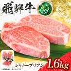 飛騨牛 A5等級 シャトーブリアンステーキ 8枚
