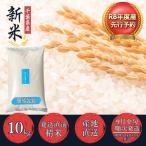 コシヒカリ 精米 10kg