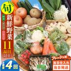野菜 キノコ 果物 11品目 詰め合わせ 4回