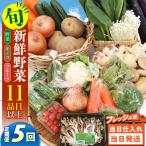 野菜 キノコ 果物 11品目 詰め合わせ 5回