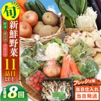野菜 キノコ 果物 11品目 詰め合わせ 8回