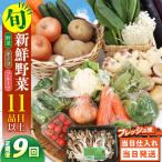 野菜 キノコ 果物 11品目 詰め合わせ 9回