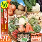 野菜 キノコ 果物 11品目 詰め合わせ 11回