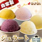 手作りジェラート 12種 詰め合わせ