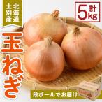 士別産玉ねぎ 5kg
