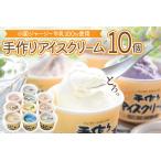 ふるさと納税 【希少なジャージー牛乳100%使用】濃厚！手作りアイスクリーム（12個入） 熊本県小国町