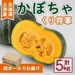 かぼちゃ くり将軍 5kg