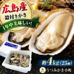 広島産牡蠣 Sサイズ25個 うつみかき小町