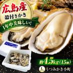 広島産牡蠣 Lサイズ15個 うつみかき小町