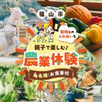 体験 HATTORI FIELD -ハットリフィールド-