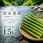 グリーンアスパラ M~Lサイズ 富良野産