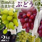 ご 朝採れ ぶどう 品種おまかせ 計 2kg
