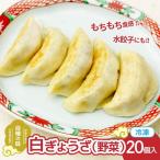冷凍餃子 白ぎょうざ 野菜 10個×2セット