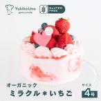 オーガニックミラクル*いちご 4号 アレルギー対応ケーキ