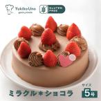 ミラクル*ショコラ 5号 アレルギー対応ケーキ