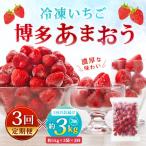 やまや 冷凍いちご 博多あまおう 約3kg