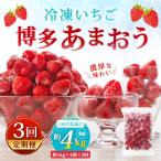やまや 冷凍いちご 博多あまおう 約4kg
