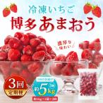 やまや 冷凍いちご 博多あまおう 約5kg