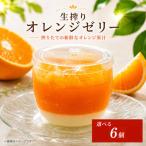 オレンジゼリー 6個