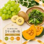 マスカット ゴールドキウイ 秋野菜 旬 野菜