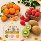 苺 いちご みかん キウイ 香緑