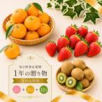 いちご キウイ みかん さぬきひめ 小原紅早生