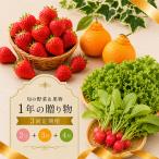 春野菜 いちご デコポン 果物 定期便