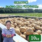 JAきたみらい産 じゃがいも 新品種 ゆめいころ 10kg