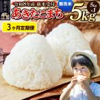 あきたこまち 一等米 5kg×1袋