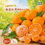 もぎたて 無選別 有田 みかん 5kg