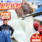 コウイカ 約3kg