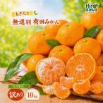 もぎたて 無選別 有田 みかん 10kg