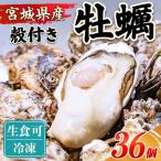 殻付き牡蠣 生食用 冷凍 36個